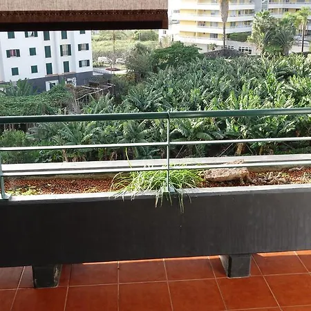 Musa Ajuda Ii Funchal *